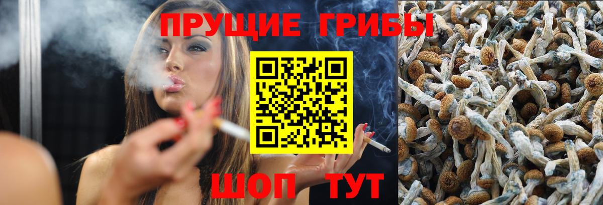 Галлюциногенные грибы Magic Shrooms Медногорск